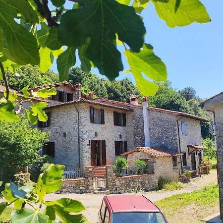 Cara House Tuscany - Zona Lucca Chiatri Zewnętrze zdjęcie