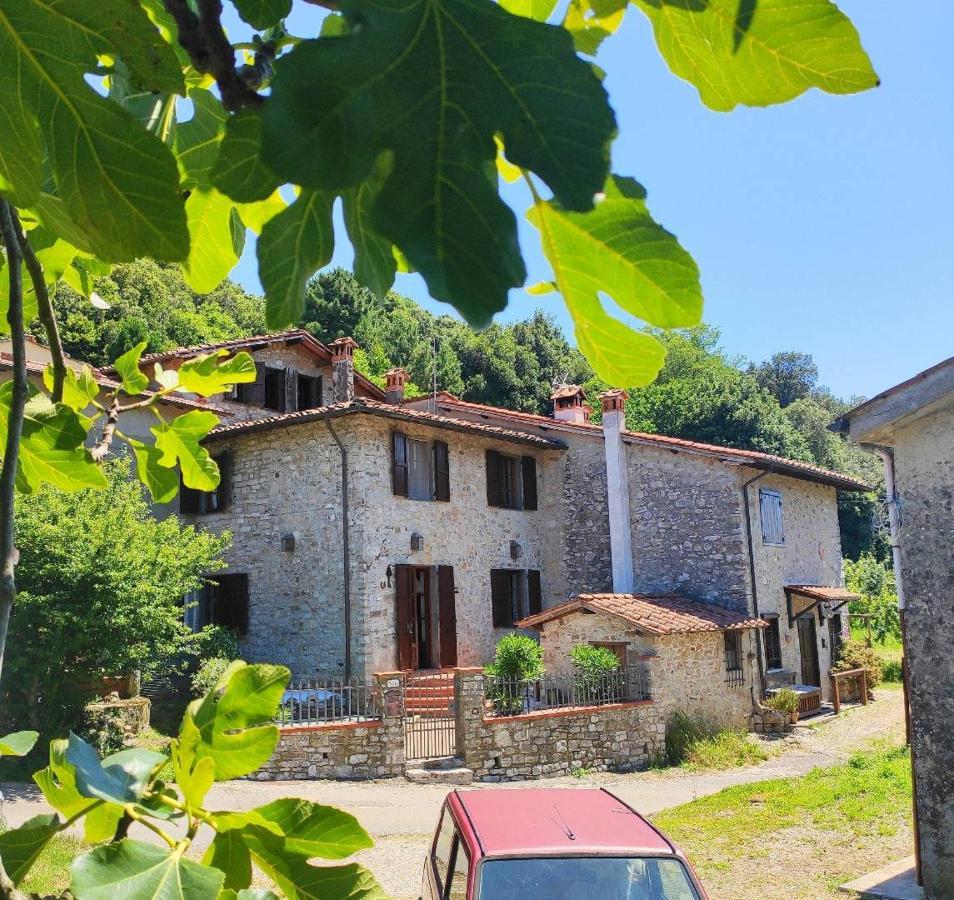 Cara House Tuscany - Zona Lucca Chiatri Zewnętrze zdjęcie