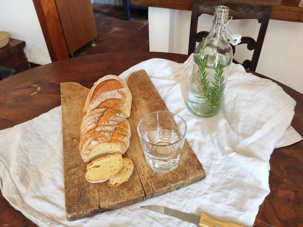 Cara House Tuscany - Zona Lucca Chiatri Zewnętrze zdjęcie